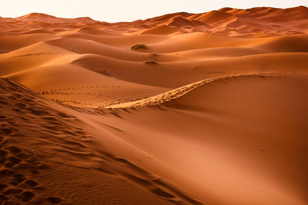 Best Desert Safari in Dubai With Affordable Price