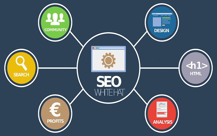 8 SEO Secrets That No One Wants to Reveal