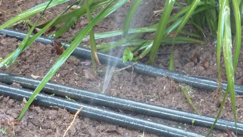 Best Accessories for Drip Irrigation