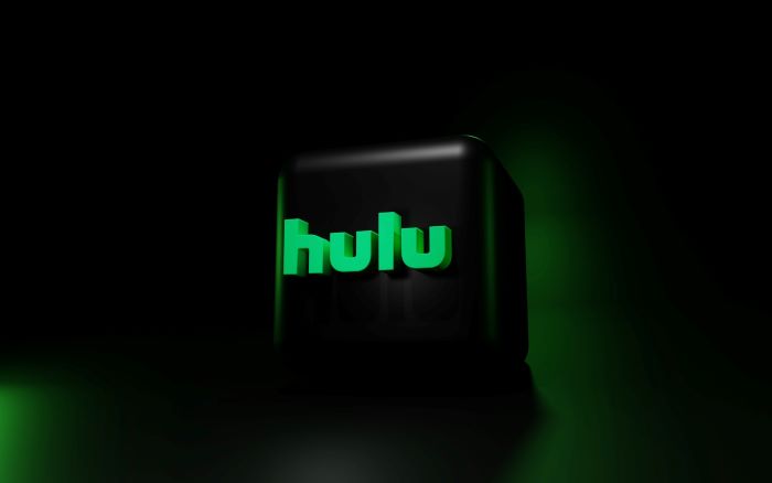 How to Resolve Hulu Error When Switching Profiles?