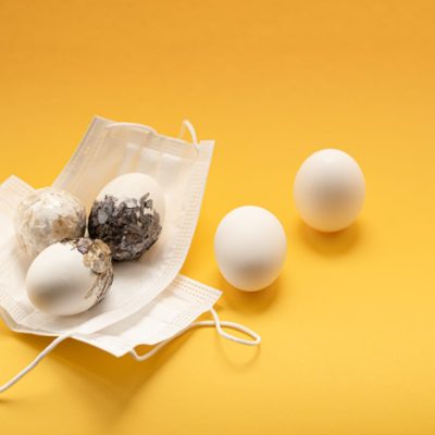 Salmonella Outbreak in Eggs: What You Need to Know to Stay Safe