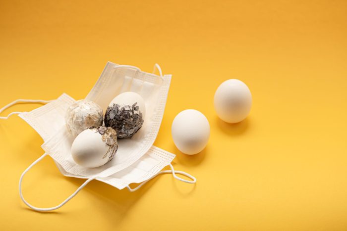 salmonella outbreak eggs